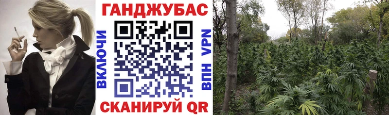 МАРИХУАНА гибрид  цены   Салехард 